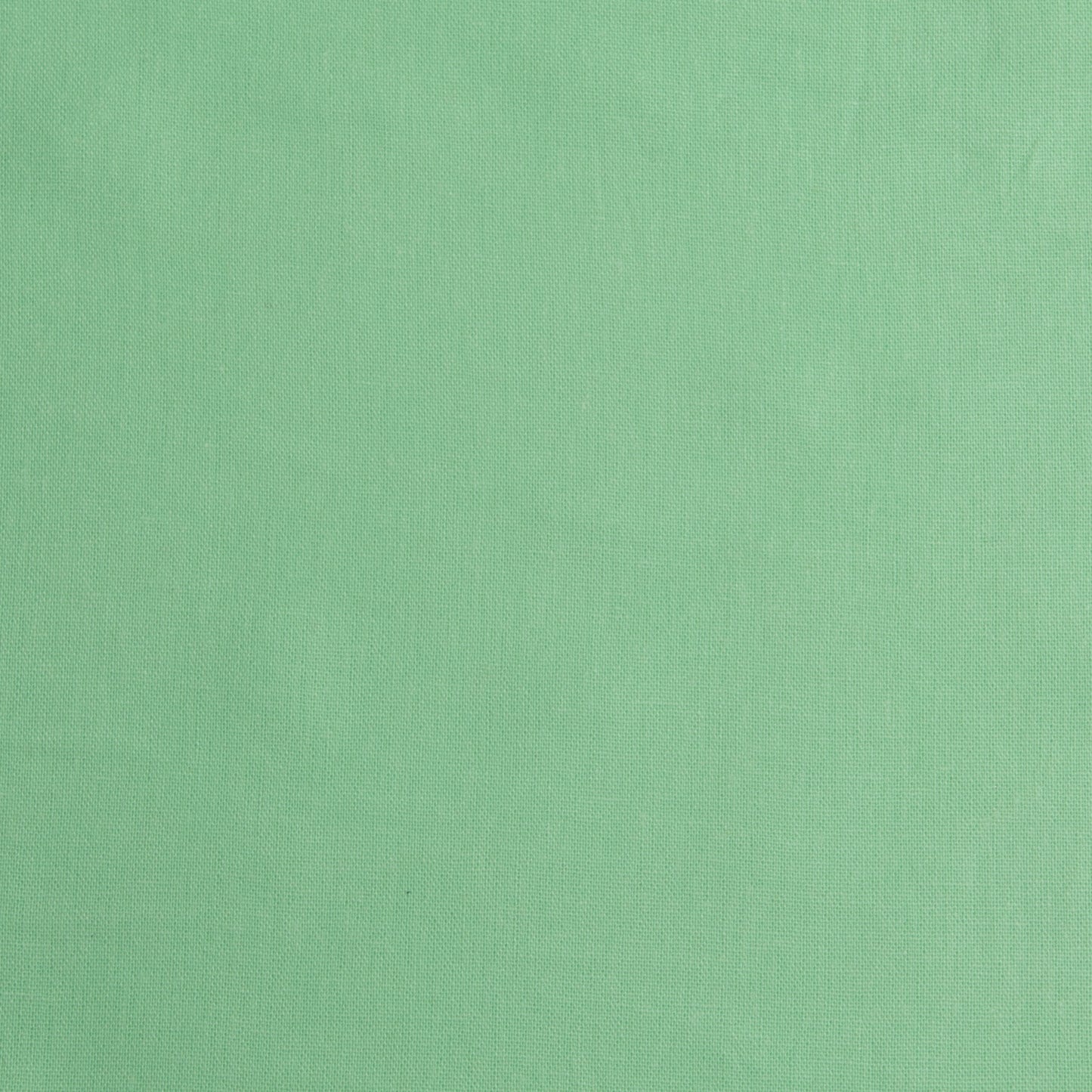 Linho Liso  Verde Claro