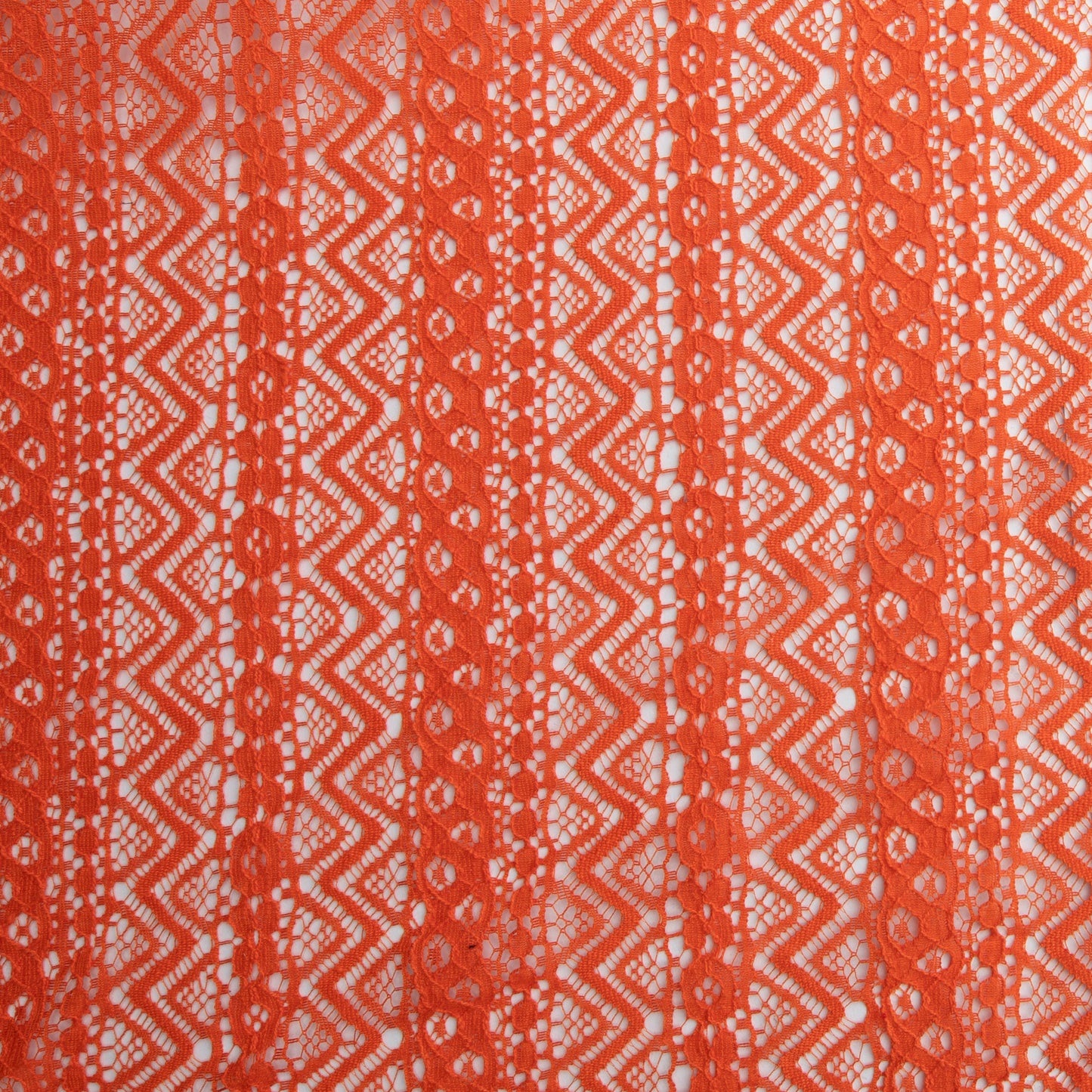 Renda Rachel Coral Papaia