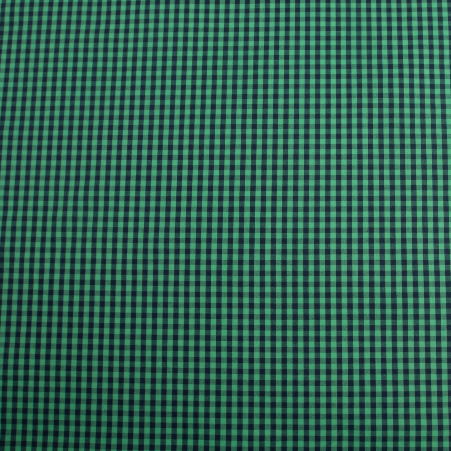 Cotton Vichy Stripe Verde Piscina