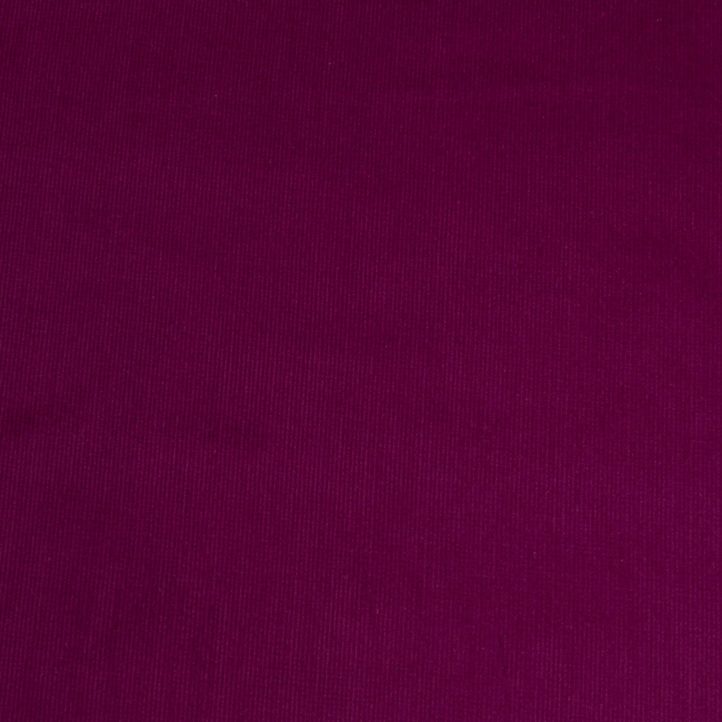 Veludo Cotele Fino Com Elastano Fucsia