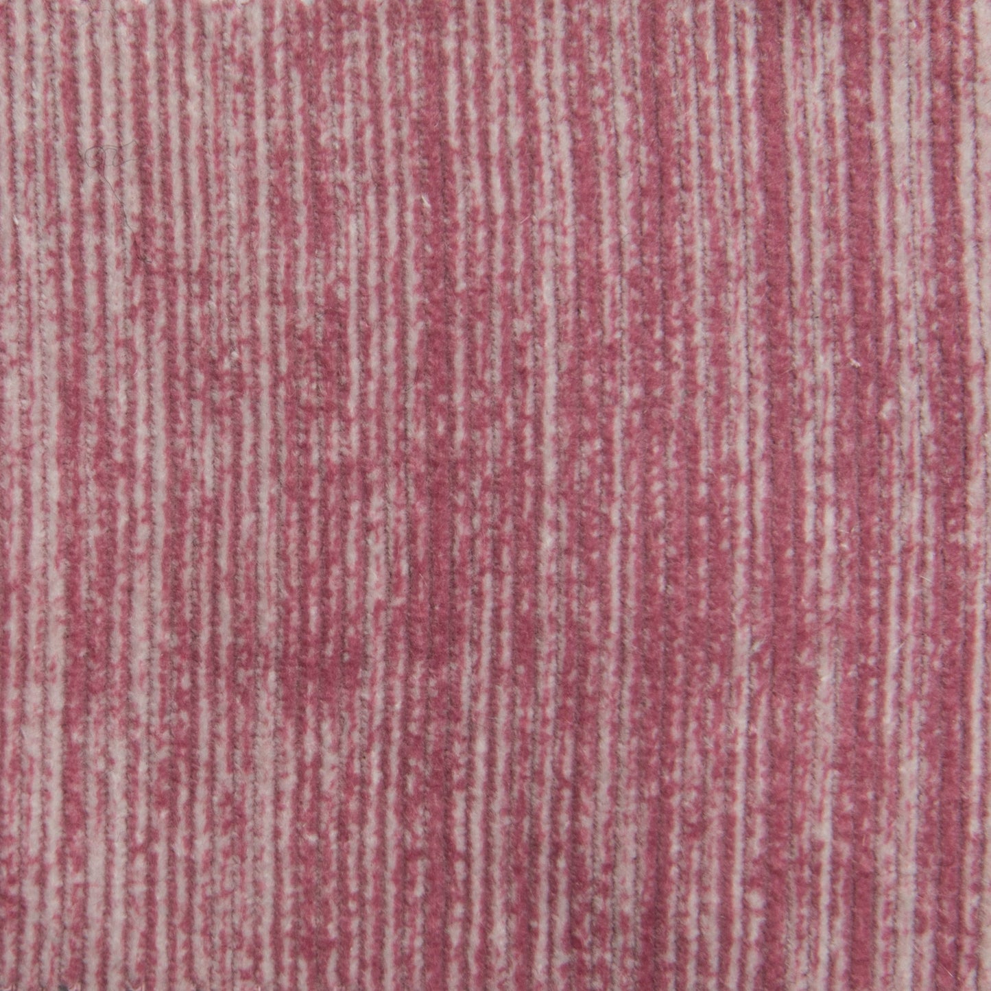 Veludo Desbotável Pink