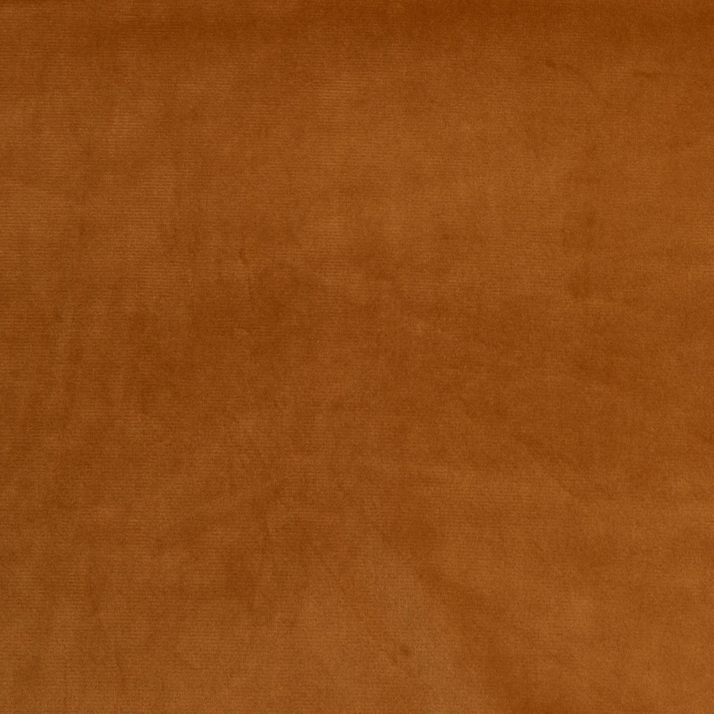 Veludo Turim Mostarda