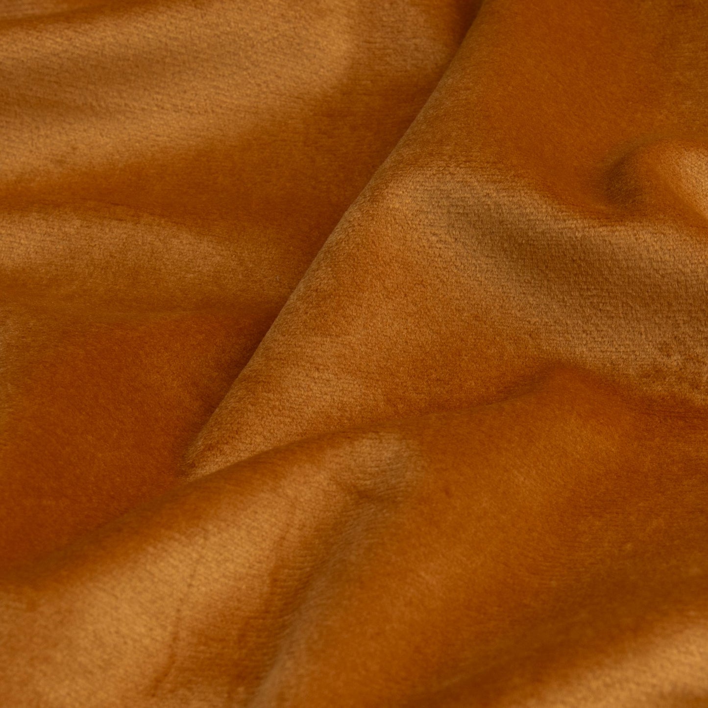 Veludo Turim Mostarda