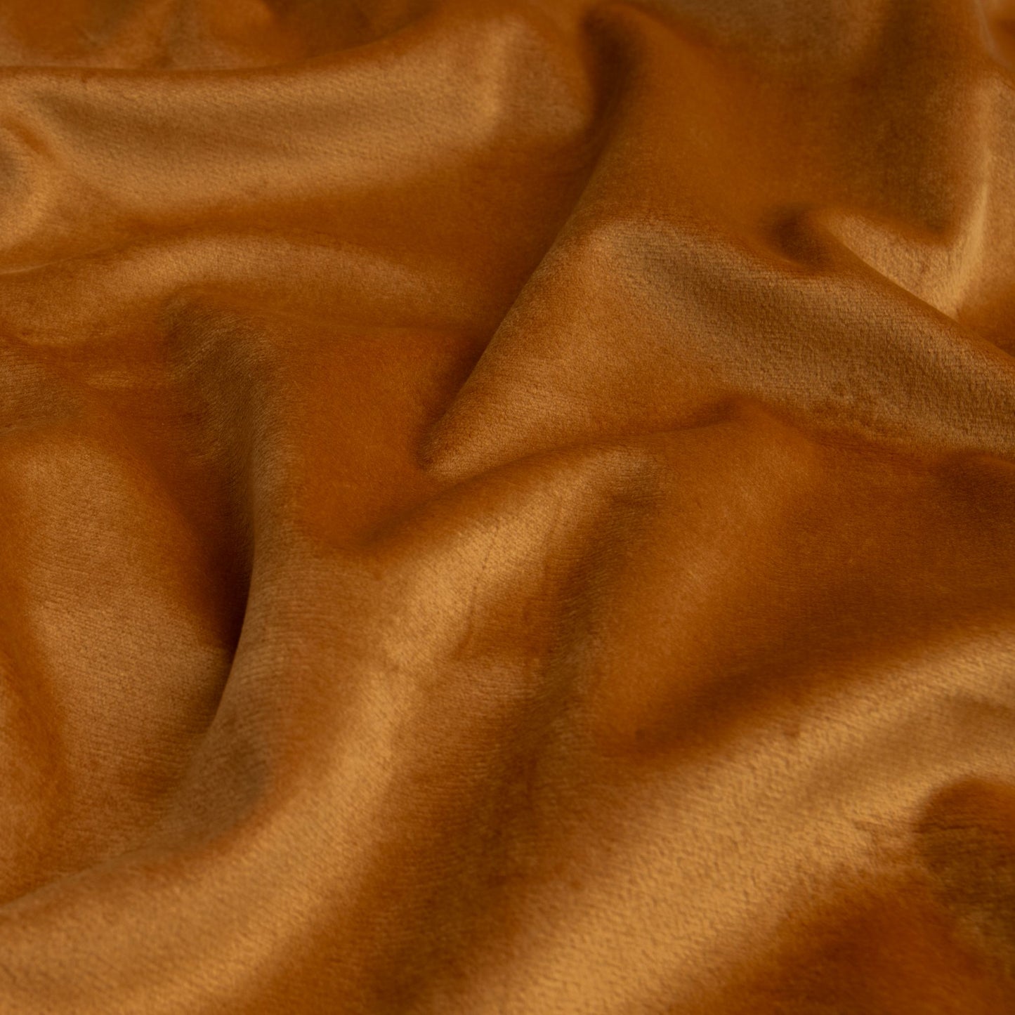 Veludo Turim Mostarda