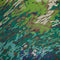 Chiffon Estampado Verde Bandeira Des 17