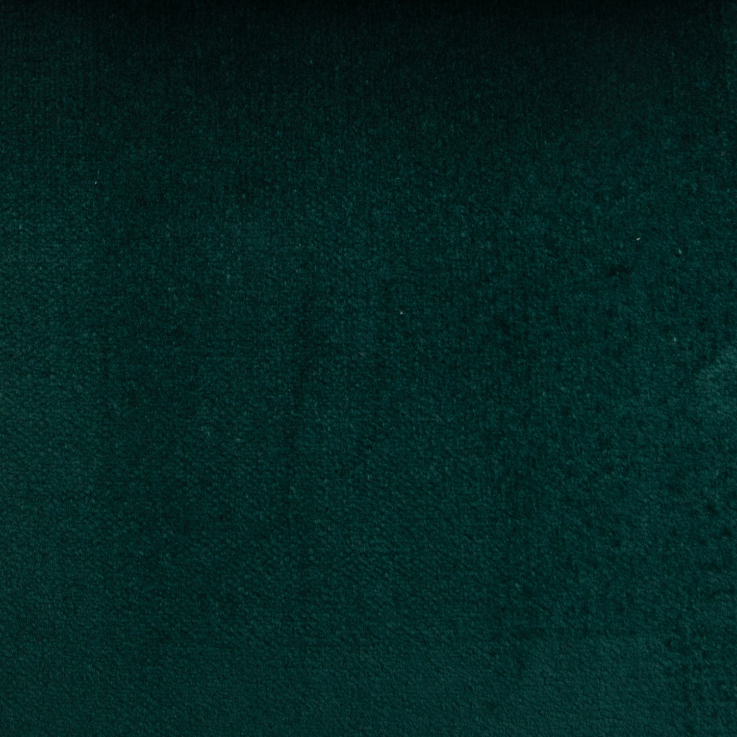 Veludo Liso Decoração Verde Escuro