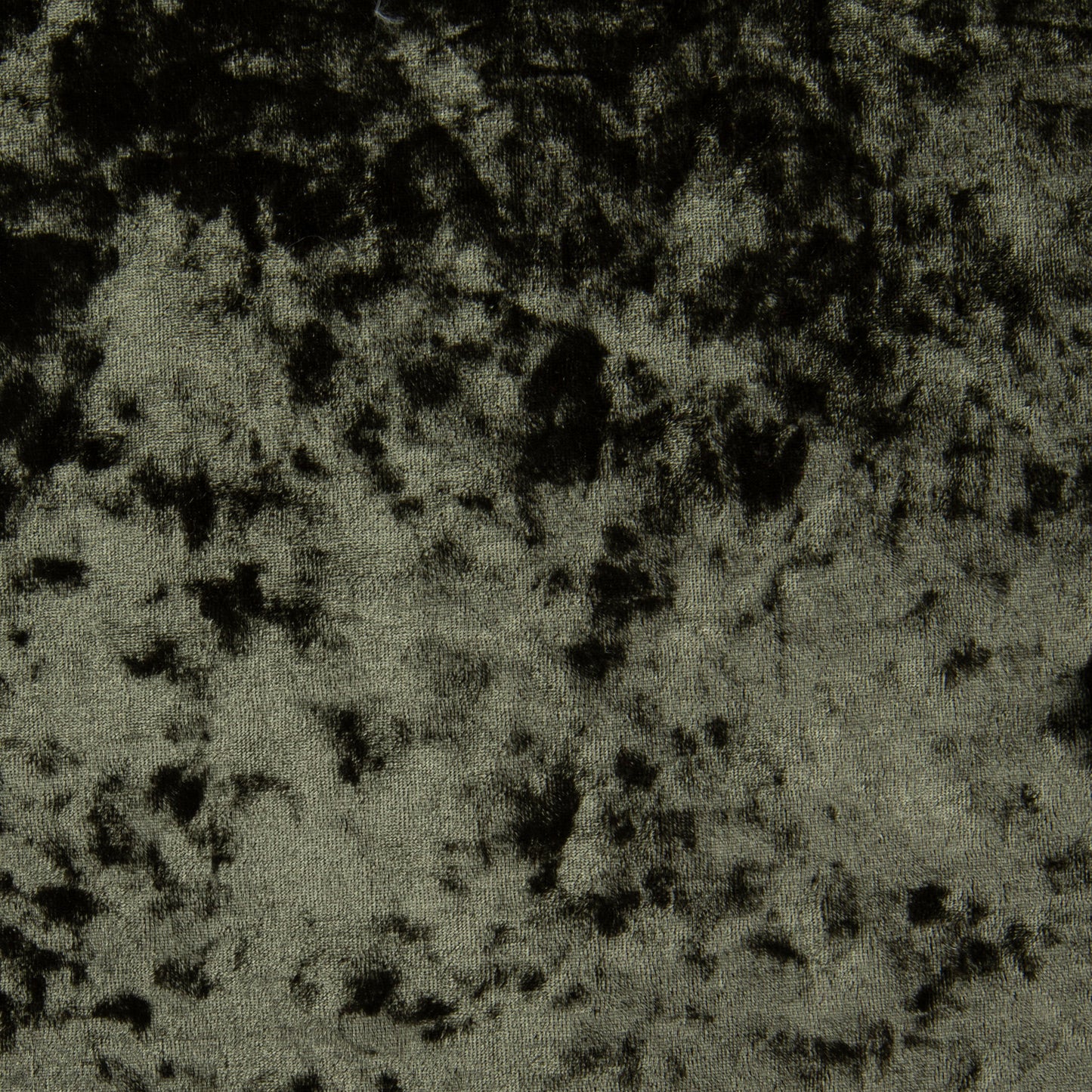 Veludo Molhado Oliva