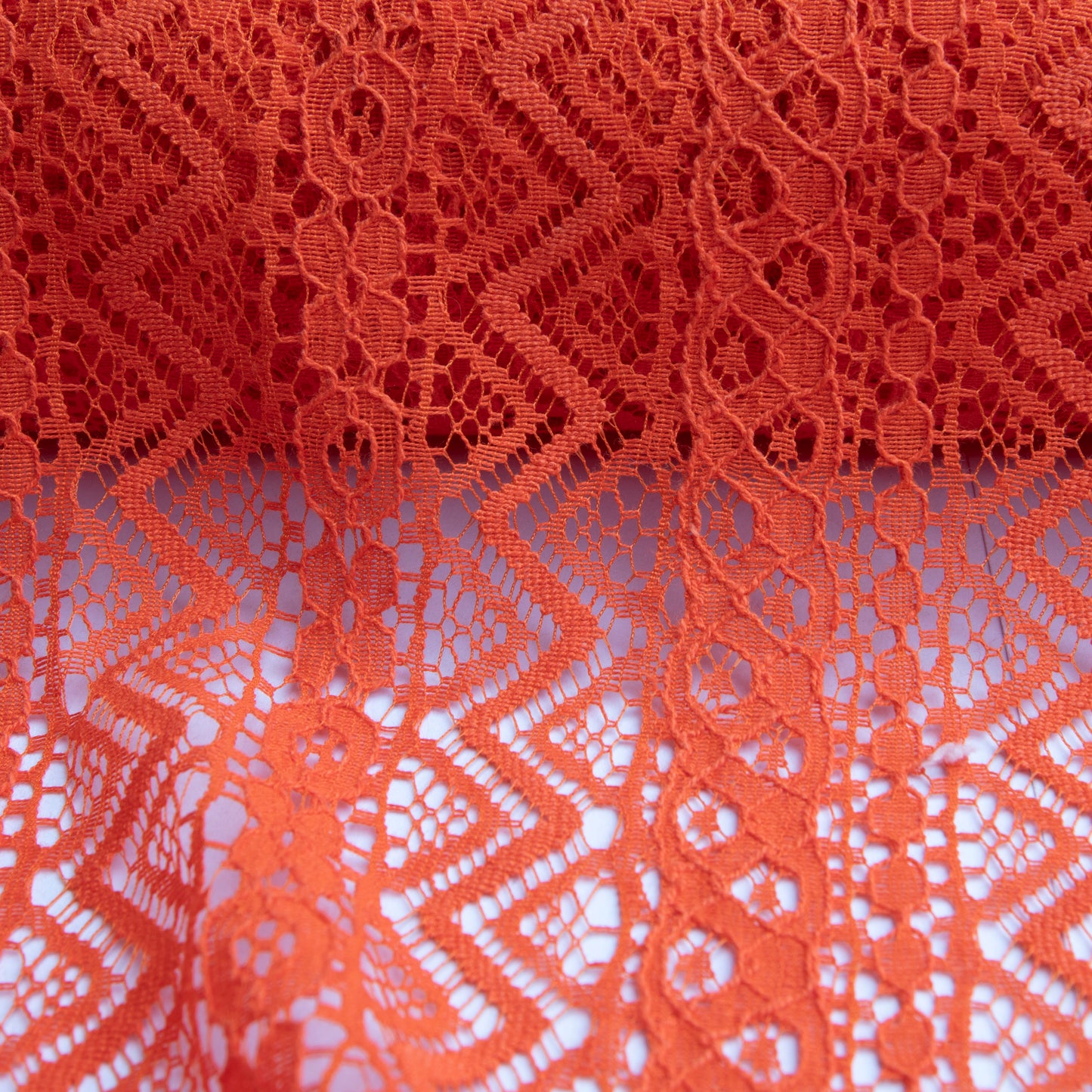 Renda Rachel Coral Papaia
