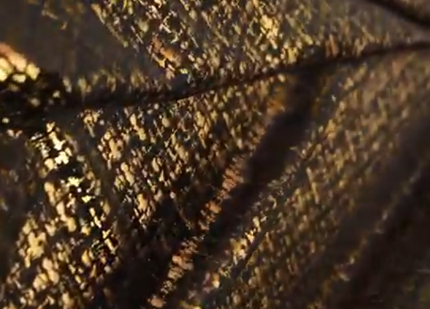 Veludo Tweed Metalizado Bronze