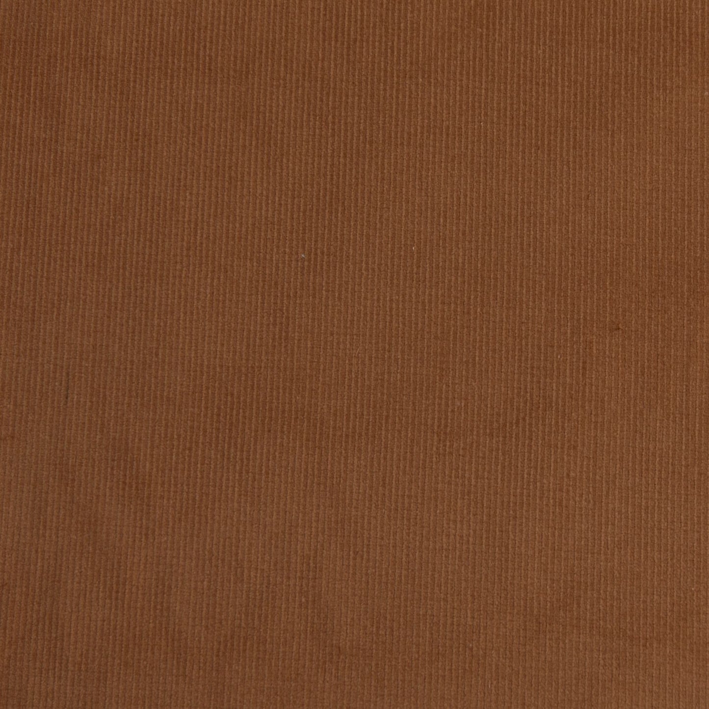 Veludo Cotele  Fino Com Elastano  Ocre